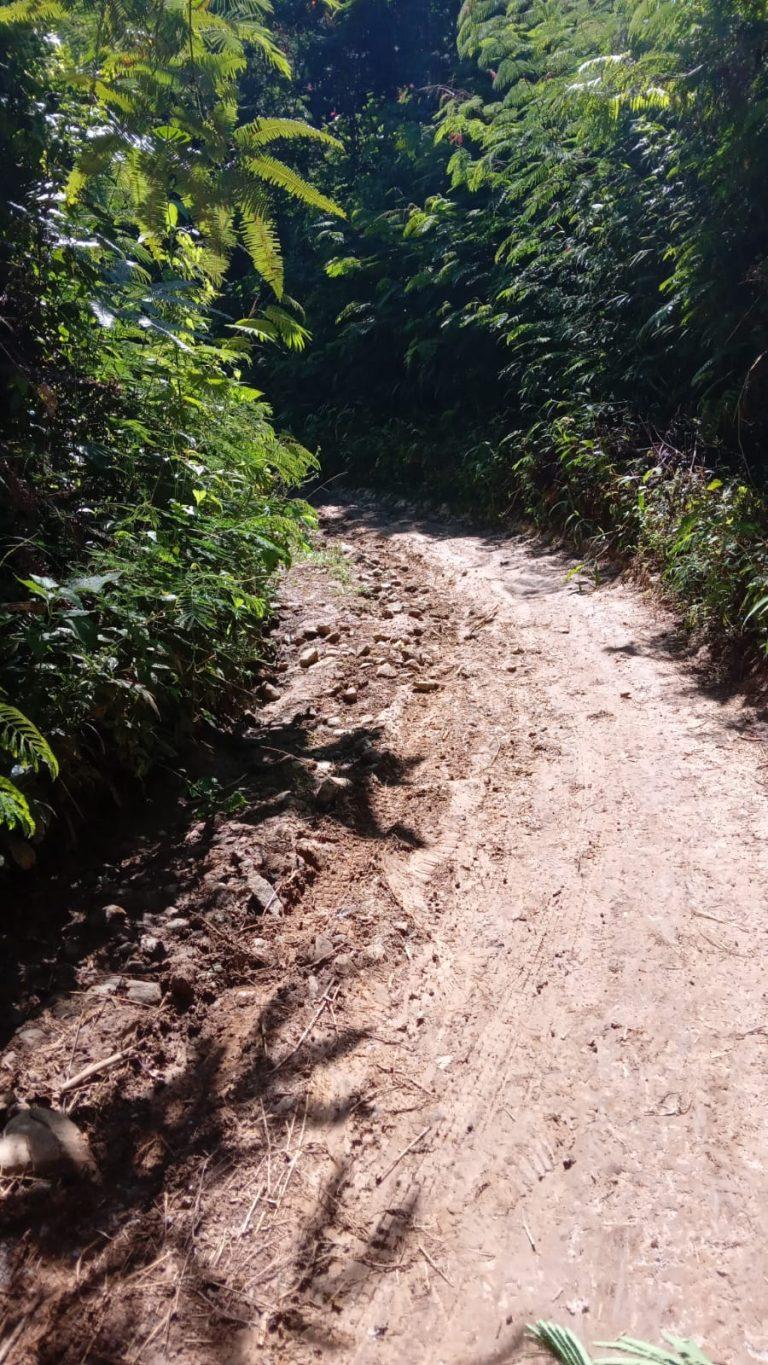 IMG-20230619-WA0134