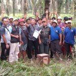 IMG-20230730-WA0100