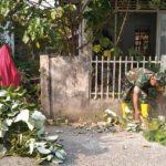IMG-20231112-WA0073