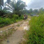 IMG-20240116-WA0010