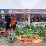 IMG-20240119-WA0053