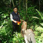 IMG-20240122-WA0065