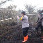 IMG-20240730-WA0041