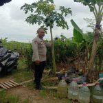 IMG-20250127-WA0012