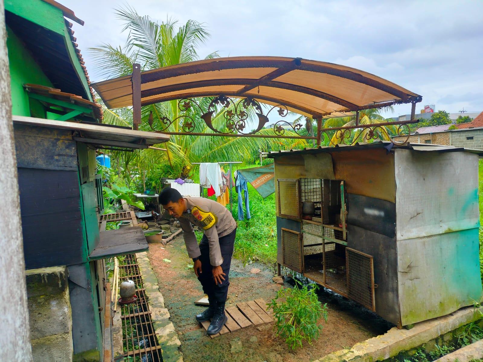 Polsek Cikupa Dukung Ketahanan Pangan, Bhabinkamtibmas Berikan Motivasi kepada Peternak Ayam