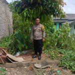 IMG-20250206-WA0028
