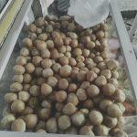 IMG-20250413-WA0033