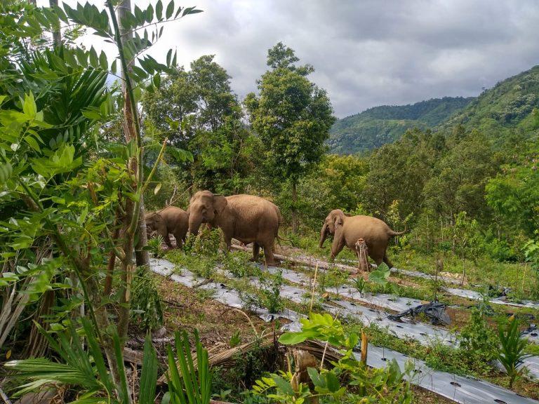 WhatsApp Image 2025-04-17 at 00.54.36