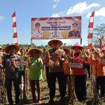 3d81b0f7-faae-4cf0-a686-c7c9a9c99c9e