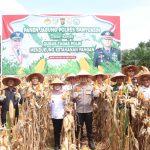 IMG-20250515-WA0002