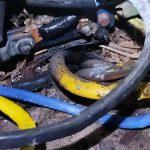 IMG-20250520-WA0058