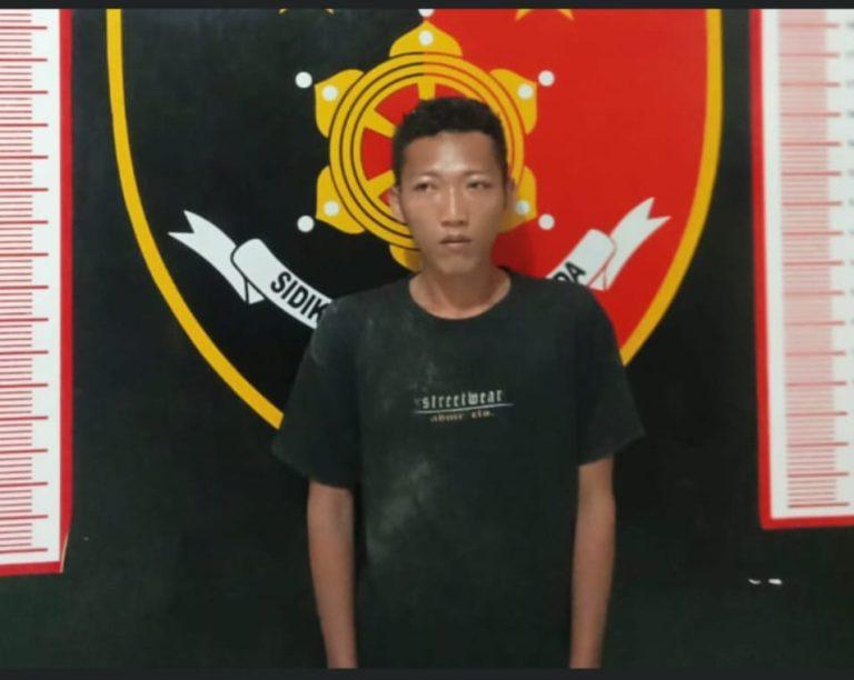 WhatsApp Image 2025-05-14 at 13.14.23