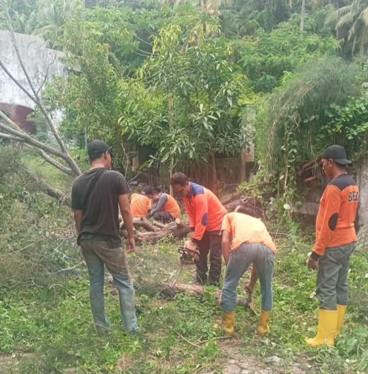 WhatsApp Image 2025-05-26 at 16.04.30