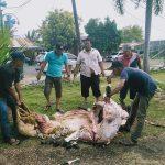 IMG-20250607-WA0077