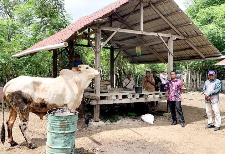 WhatsApp Image 2025-06-06 at 20.54.58