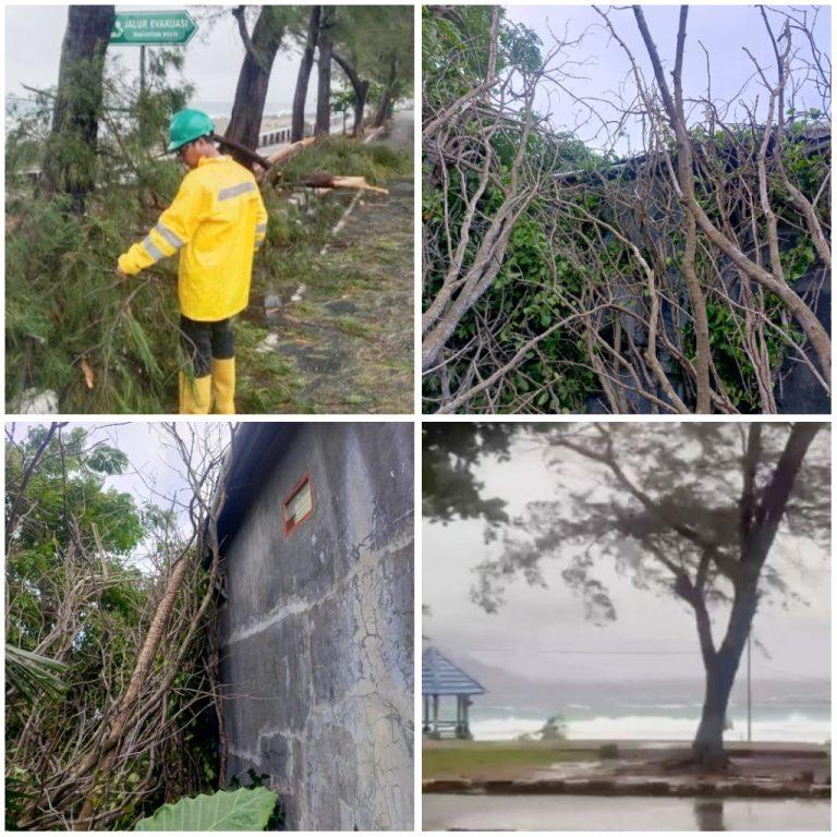 WhatsApp Image 2025-06-11 at 08.34.29