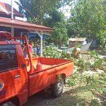 WhatsApp Image 2025-06-11 at 15.05.21