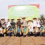 IMG-20250710-WA0156