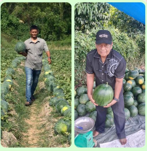 WhatsApp Image 2025-07-05 at 11.18.10