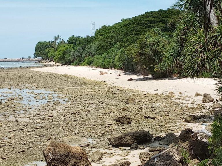 WhatsApp Image 2025-07-09 at 18.56.08