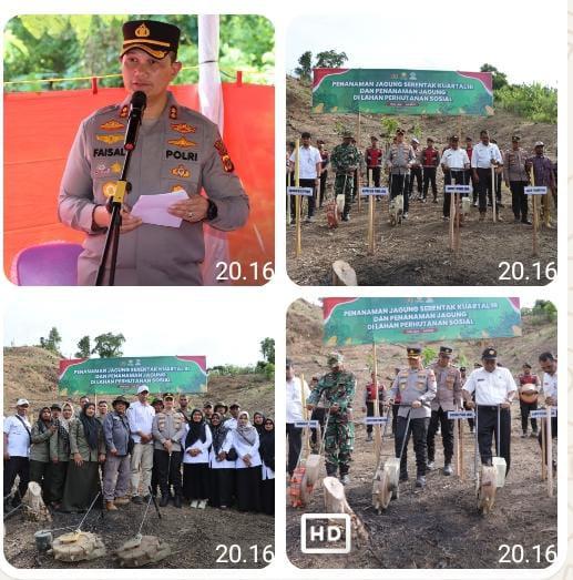 WhatsApp Image 2025-07-09 at 23.09.53