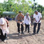 WhatsApp Image 2025-07-10 at 00.04.00