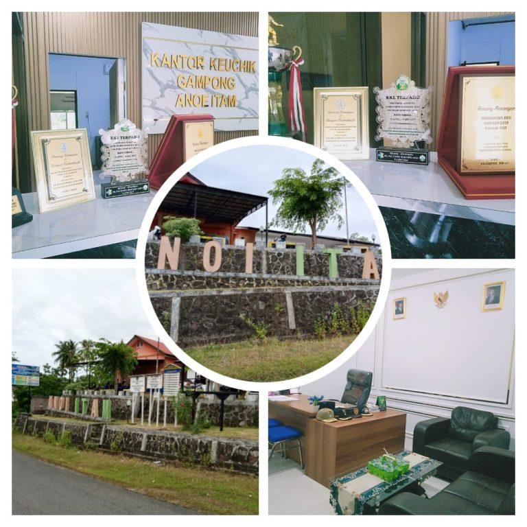 WhatsApp Image 2025-07-11 at 13.31.44