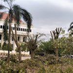 WhatsApp Image 2025-07-15 at 11.00.29 (1)