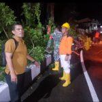 WhatsApp Image 2025-07-19 at 23.39.49