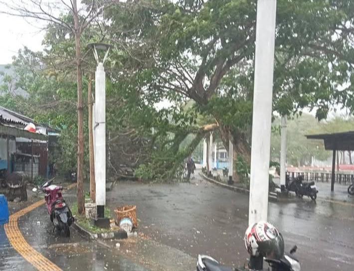 WhatsApp Image 2025-07-20 at 12.40.14