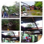WhatsApp Image 2025-07-21 at 08.18.25