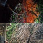 IMG-20250802-WA0060