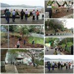 IMG-20250927-WA0011