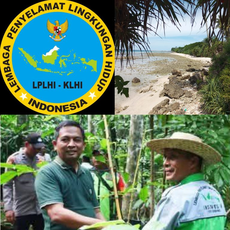 InCollage_20251014_205350267