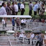 InCollage_20251023_204456330