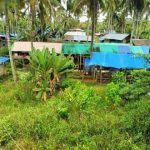 IMG-20251110-WA0088(1)