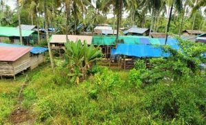 IMG-20251110-WA0088(1)