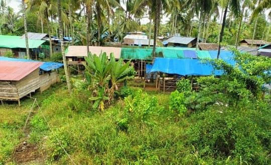 IMG-20251110-WA0088(1)