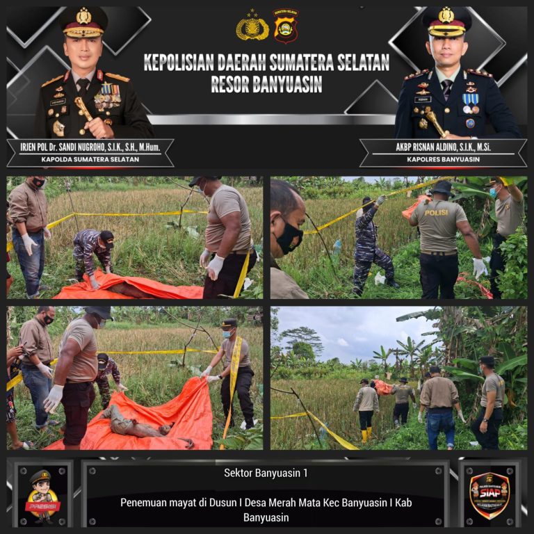 41bb5387-7369-4023-8aa6-6f9c42aabe0e