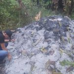 IMG-20260413-WA0030