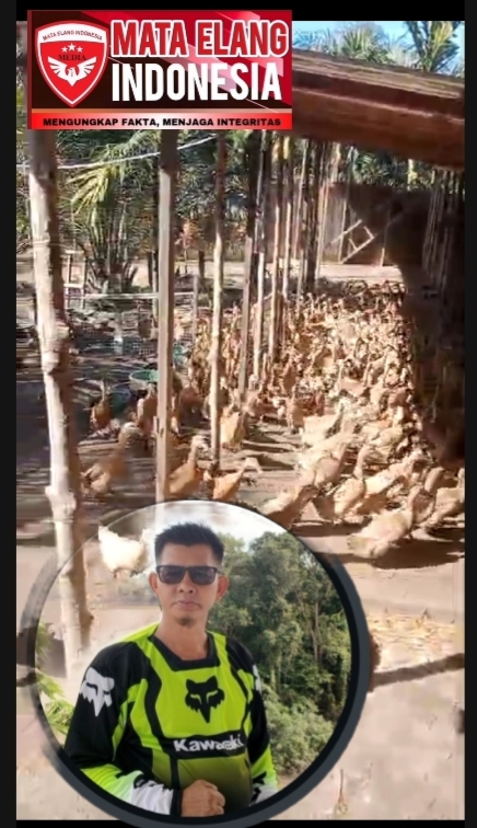 Ternak Itik Bertelur Kades Lemo Satu Berkembang Pesat, Dukung Ketahanan Pangan