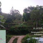 IMG-20260729-WA0100